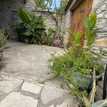 Arhontiko Frangos * カト・ドライス