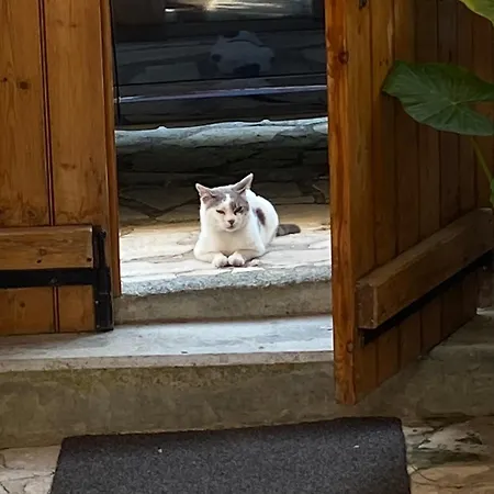 Летний дом Arhontiko Frangos *