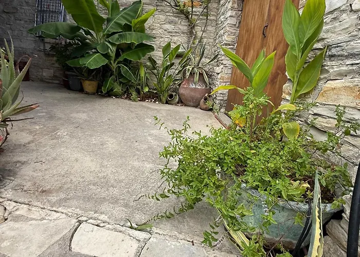 Arhontiko Frangos * Káto Drisz