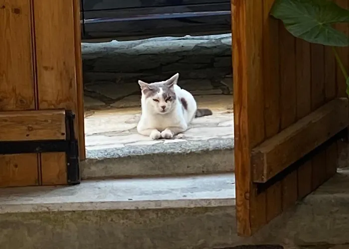 Hétvégi ház Arhontiko Frangos *